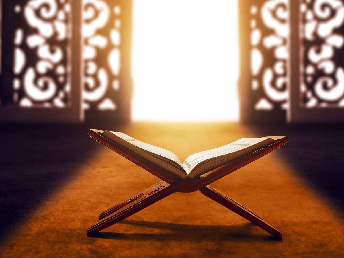 Noor-ala-noor-light-up-on-light